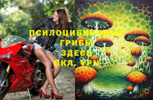 метадон Арсеньев