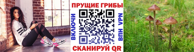 Галлюциногенные грибы Magic Shrooms  цены   Бирюч 